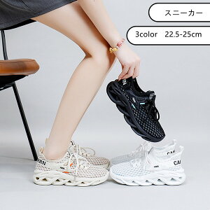  Xj[J[ V[Y ^C q jOV[Y ̎q 3color C ʊw ʋ y w t@bV K _ ~ X|[c  ] Oo ^ ^] oR w