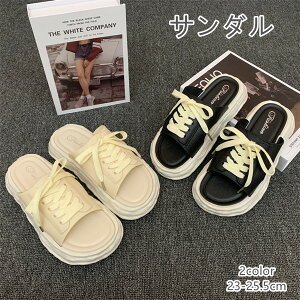 fB[XT_ Xbp T_ 2FI  ̎q fB[X t@bV  N₩ ~ K _炩 ʐ^Be i ʋ w ʊw v[g Mtg r 
