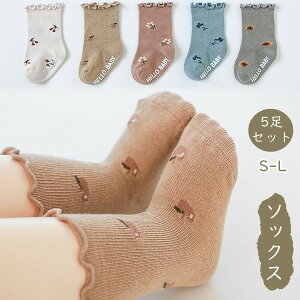 x[W\bNX 5Zbg C \bNX xr[  ̎q q LbY  ct w  w tH[} o t H ~ K[Y 3size v[g j