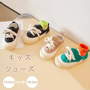 LbYV[Y 3color LbY xr[V[Y Ԃ q c j̎q ̎q C qC Xj[J[ xr[Xj[J[ t@[XgV[Y LoX ~ ʊw AEghA JWA