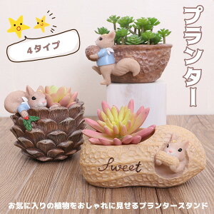 uV7N[|zzv  Aؔ |  V u ~j   e  [ G Aj} 킢  ̓ RPE ۃE  T{e CeA 