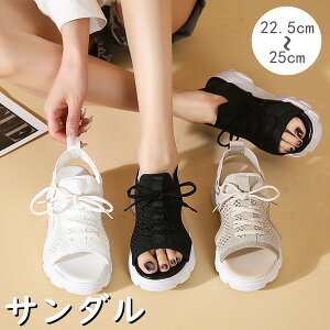 T_ Xj[J[  ₷ ɂȂ y r C AEghA _炩 h fB[X fB[XT_ t@bV ̎q ʋ ʊw ʐ^Be a j v[