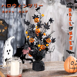 nEB  c[ ڂ JGf̗t nEBu[P  J{`  p[eB[ I[ig nEB nEBfR[Vpԃu[P     v[