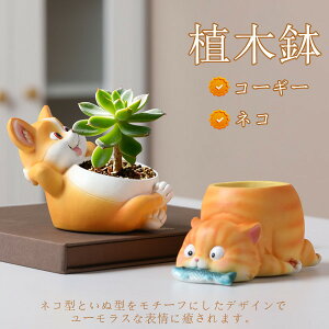 uV7N[|zzv v^[ Aؔ ~jAKp z[  v[g ϗtA  킢   L [ G ̓ ~j   RPE 