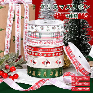 NX}X{ [{ { NX}X Ɩp 19m v[gp bsO Mtg v[g pޗ  Merry Christmas nhCh a {bNX f