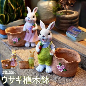 うさぎ プランター ガーデニング」の人気商品一覧・価格比較 - 価格.com