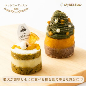 【MyBESTiee】愛犬用 タルト2個セット ほうれん草のツリー＆かぼちゃと鰯（いわし）のタルト｜ 無添加 犬用 ワンちゃん用 ワンコケーキ 犬用ケーキ 犬ケーキ 鹿肉 誕生日 プレゼント​ 愛犬 犬 ペット ケーキ お祝い ヘルシー