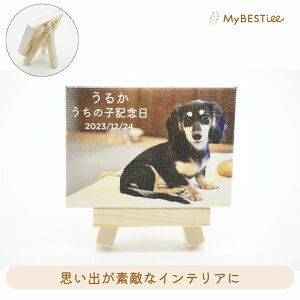 yMyBESTieez[LoXMINIb I[_[Ch v[g Mtg LOi tHg ʐ^ O[tPA EH[fR LoX  pl LoXvg A[gpl ybg a