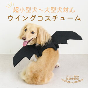 yMyBESTieezECORX`[ b p RXv ϐg RX`[ a v[g   ybg j p[eB[  ߑ  H hbOEFA ^ ^ ^ 