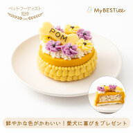 【MyBESTiee】愛犬用 ハッピーケーキ かぼちゃ ｜ ワンコケーキ 犬用ケーキ 誕生日 お祝い 国産 ヘルシー…