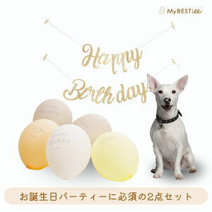y/1000~|bLznbs[o[Xf[K[ho[5Zbgb a D t  ybg Be j̎q ̎q xr[ QA[g p[eB[  HAPPYBIRTHDAY 