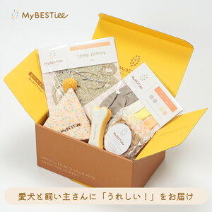 yMyBESTieeznbs[o[Xf[BOX Petit baMtg ybgp  Mtg a v[g 5_Zbg ybgpi Xq t@bV  hbOt[h j {bNX o[Xf[ L