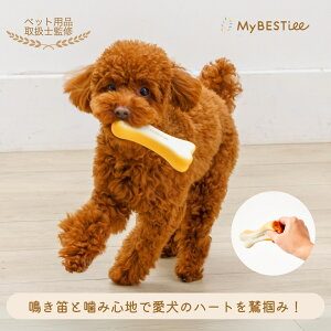 yMyBESTieezJ~J~{[ ebNXgCb p a    v ybggC ߋ ybgpi 킢 ق ʂ̂ ̂ p J v