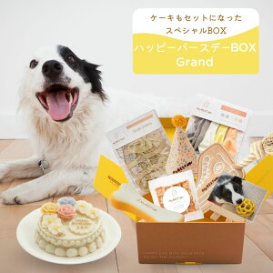 【MyBESTiee】ハッピーバースデーBOX Grand|8点セット 愛犬 犬 誕生日 ハット ファッション おもちゃ ロープ ラスク おやつ トリーツ 記念 プレゼント オリジナル 写真で作る グッズ 無添加 ケー