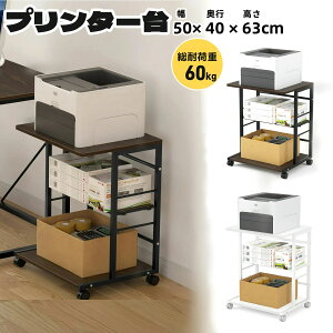 �v�����^�[�� �v�����^���b�N �f�X�N�T�C�h ��50cm ���[3�i DEWEL �I�������߉\ �v�����^�[�J�[�g �v�����^�[���S�� �v����