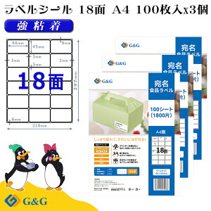 G&G xV[ A4 300 18 66mm 45mm S  Hix