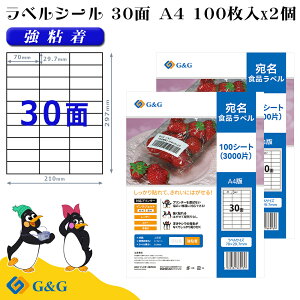 G&G xV[ A4 200 30 70mm 29.7mm S  Hix