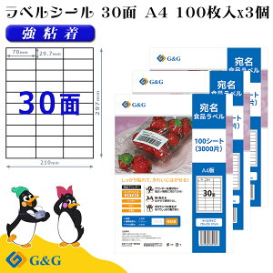 G&G xV[ A4 300 30 70mm 29.7mm S  Hix