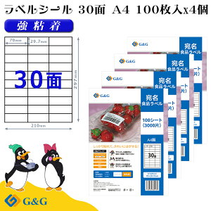 G&G xV[ A4 400 30 70mm 29.7mm S  Hix