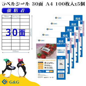 G&G xV[ A4 500 30 70mm 29.7mm S  Hix