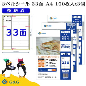 G&G xV[ A4 300 33 63.5mm 25.4mm S  Hix