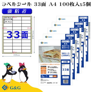 G&G xV[ A4 500 33 63.5mm 25.4mm S  Hix