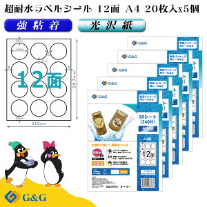 G&G xV[ ϐ  A4 100 12 (ی^) 60mm 60mm CNWFbg S h \ pbP[Wx [