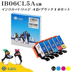 G&G エプソン用 互換 インク IB06CL5A 残量表示対応 対応機種 PX-S5010R1/PX-S5010 メール便