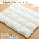 【防ダニ生地】洗濯機で丸ごと洗える ベビー掛け布団 ベビーサイズ 95×120 | レギュラー ヌード 単品 掛け布団 掛布団 掛けふとん 掛ふとん かけ布団 軽量 洗濯 洗濯機 丸洗い 綿100% コットン オーガニック 日本製 ベビーベッド ベビー 赤ちゃん 新生児 ダクロン中わた