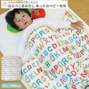 ͂؂ނ 炩uPbg 80×100cm | ѕz uPbg xr[Pbg ^IPbg |zc |zc zc |ӂƂ Ђ Ђ| H ~ g  |GXe