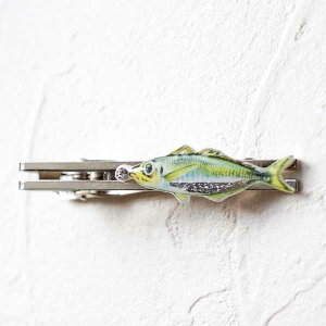 lbg AW XtXL[ lN^Cs Vo[C  T66313