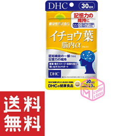 DHC イチョウ葉脳内α アルファ 30日分 90粒 TKG120 32g 機能性表示食品 記憶力 dhc サプリメント サプリ 女性 男性 ディーエイチシー イチョウ葉エキス ビタミンb エイジングケア 50代 40代 ビタミン