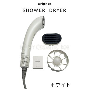 Brighte �V�����[�h���C���[ BRT-SD173 SHOWER DRYER �i�m�~�X�g �w�A�h���C���[ �啗�� ���� �y�� �c���� ���� �w�A�P�A �~�X�g�h���C���[ ���e�Ɠd �M�t�g �v���[���g �u���C�g �����΍� �܂Ƃ܂� 