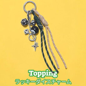 【追加オプション】限定デザイン ラッキーダイスチャーム【単品購入不可】