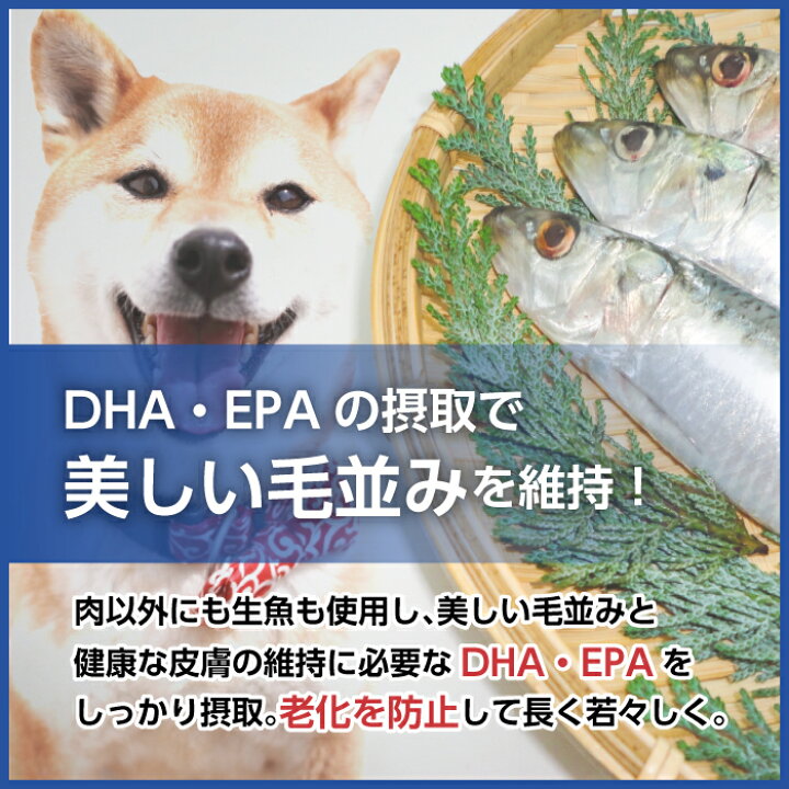 楽天市場 ペラモ 無添加 国産 ドッグフード 2袋 4kg 小粒 大粒 Peramo ペットフード 犬 犬用 仔犬 子犬 パピー 成犬 高齢犬 シニア 小型犬 中型犬 大型犬 ドライ ドライフード 美味しい ヘルシー 健康 餌 ご飯 無添加 オーガニック マイドッグオリジナル ギフト 92