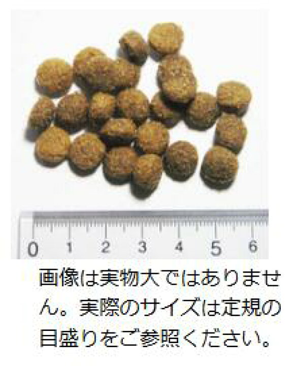 楽天市場】【正規品】 アーガイルディッシュ グレヴィレア アダルト 