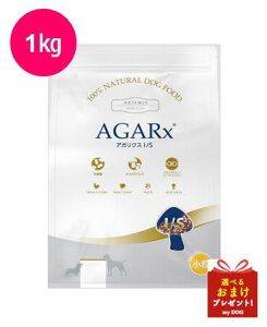 A[e~X@AKNX@C~[T|[g@@1kg@hbOt[h@p@hCt[h