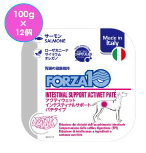 フォルツァ10 犬用 インテスティナル アクティウェット 100g 12個セット