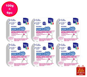 フォルツァ10 犬用 インテスティナル アクティウェット 100g 6個セット