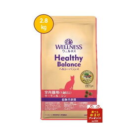 ウェルネス　ヘルシーバランス　室内猫　グレインフリー　サーモン＆ニシン　2.8kg　【お取り寄せ】　キャットフード　ドライフード