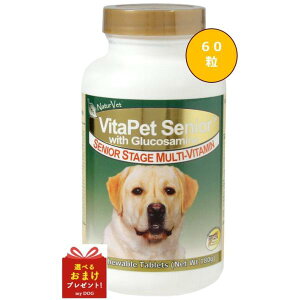 lC`[xbg@oC^ybgVjAWithORT~@60@Tv@Tvg@p@ORT~@֐