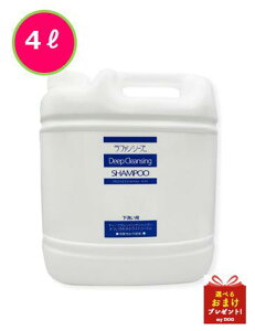 y񂹁zt@V[Y@fB[vNWO@Vv[@4000ml@p@Vv[@畆@