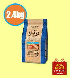 セレクトバランス　グレインフリー　アダルト　サーモン　小粒　2.4kg　1才以上の成犬用　ドッグフード　犬用　ドライフード