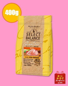 ZNgoX@OCt[@L@X@`L@400g@L̑̏dǗp@Lbgt[h@Lp@_CGbghCt[h@Y