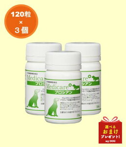 A}iOCX@fBPA@vVA@120@×3Zbg@֐߃Tvg@Tv@p@֐߁@