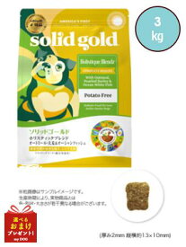 ソリッドゴールド ホリスティックブレンド 3kg 米国 SOLID GOLD ドッグフード ドライフード ダイエット