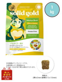 ソリッドゴールド ホリスティックブレンド 1kg 米国 SOLID GOLD ドッグフード 犬用 ドライフード ダイエット