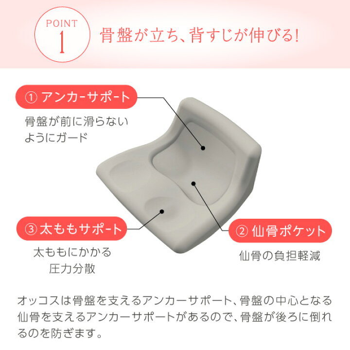 ラボネッツ 骨盤バランス オッコス 腰痛 姿勢 補正 デスクワーク 座椅子 テレワーク オフィス 車いす 骨盤 在宅 ゆがみ 送料無料 ラボネッツ 骨盤バランス オッコス 腰痛 姿勢 補正 デスクワーク 座椅子 テレワーク オフィス 車いす 骨盤 在宅 ゆがみ 送料無料