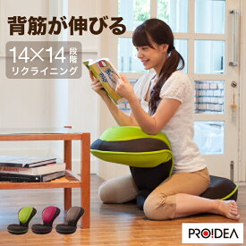 骨盤矯正 椅子 座椅子 腰痛 姿勢 骨盤 ゆがみ 矯正 首 肩 肩甲骨 グッズ 座椅子 リクライニング イス テレワーク 在宅勤務 おしゃれ 美姿勢 ぴったり フィット 背筋がGUUUN美姿勢座椅子 送料無料 PROIDEA プロイデア ドリーム