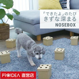 ペット おもちゃ 玩具 サイコロ・キューブ 犬用品 ギフト プレゼント( NOSEBOX ) セール PROIDEA プロイデア ドリーム